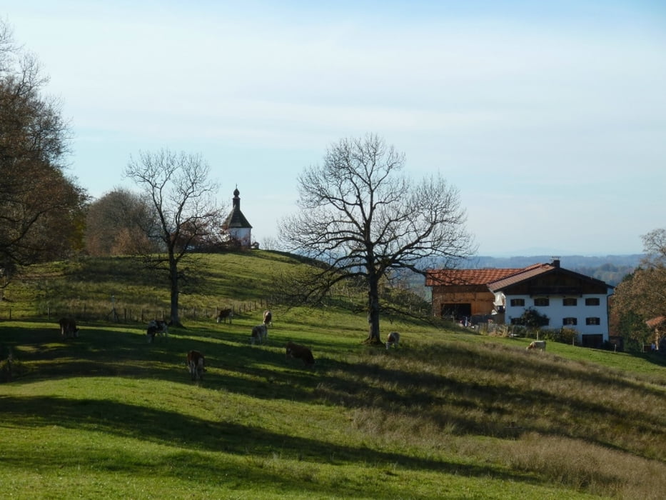 Über Stadlberg, Gindlalm und Neureuth