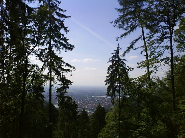 Heidelberg Königstuhl