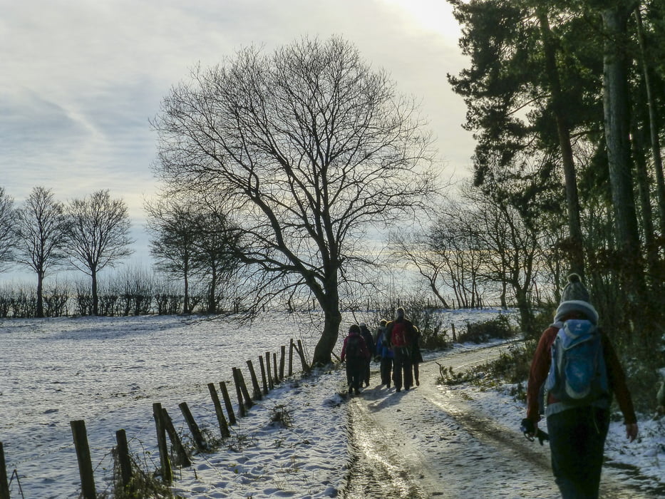 150101 Rund um Kloster Steinfeld
