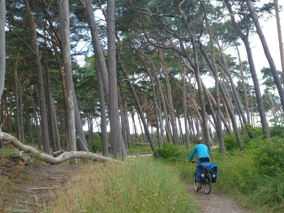 Ostseeküste mit viel Strand - vom Rostock bis Anklam