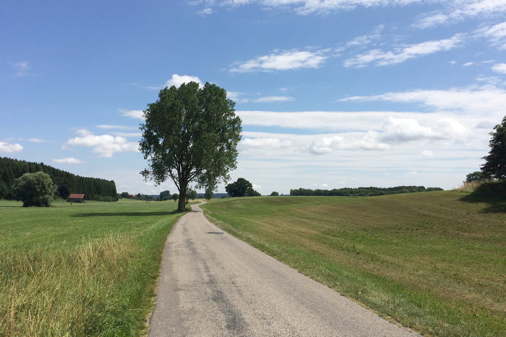 Irsee mal "andersrum"
