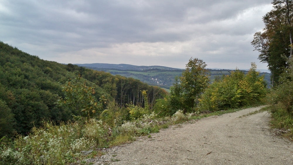 Rund um den Hermannskogel