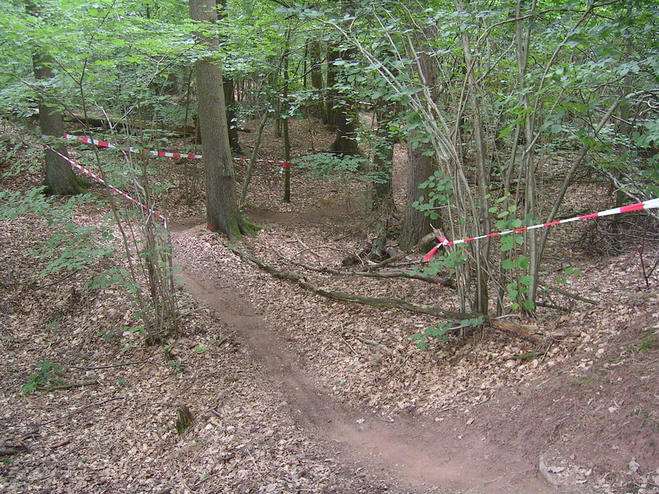 CTF-Bikebären 2010