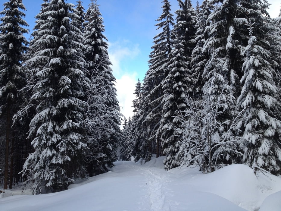 Seehaus>Platte<