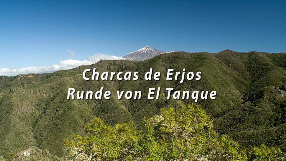 Wanderung Piedra Alta - Charcas