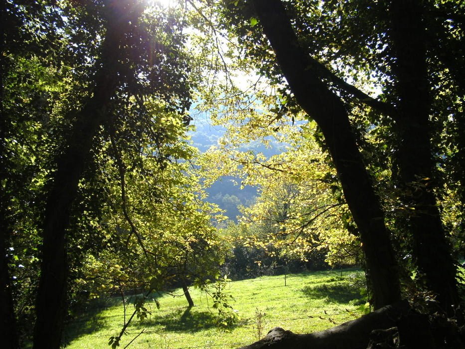 Erlebnistour Teufelsschlucht