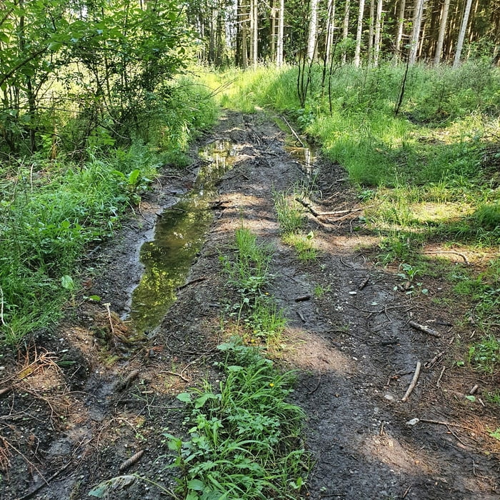 Wurzeltrail vom Schmuttersee zum Falchen