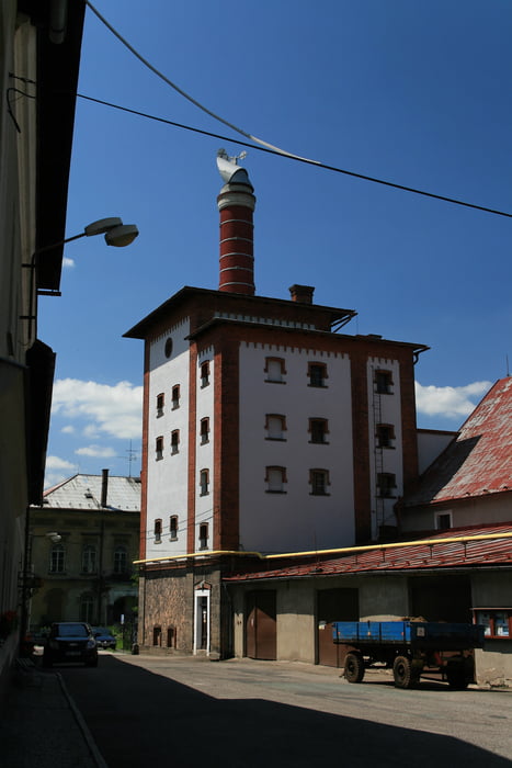 Okolo_vlasty_11_den5
