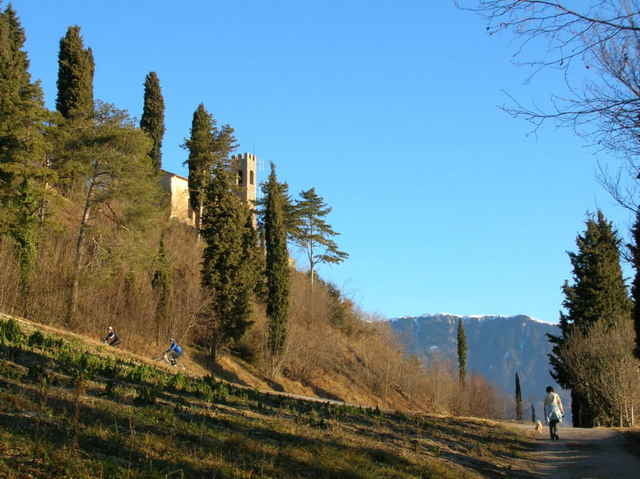 Vittorio Veneto e le sue colline