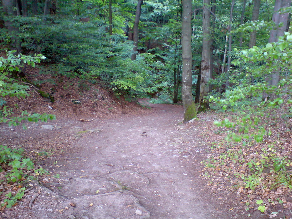 Bad Neustadt-Kreuzberg-Holzberg-Weisbach-Bad Neustadt