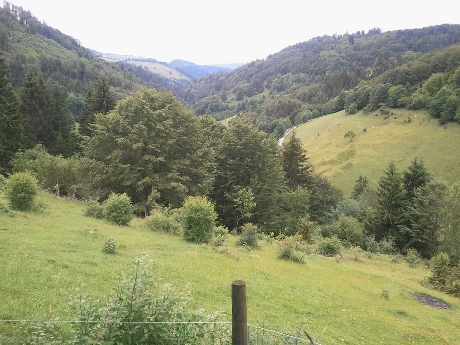 Schwarzwaldhöhen 5