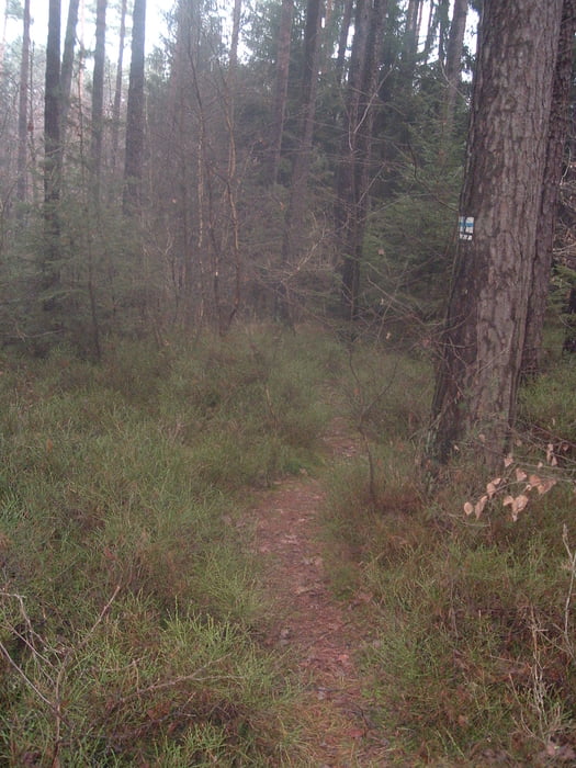 MTB Untere  Zenntaltrailrunde