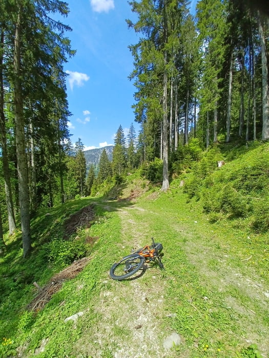 Lofer auf Litzlalm über Wildenbachschlucht zurück