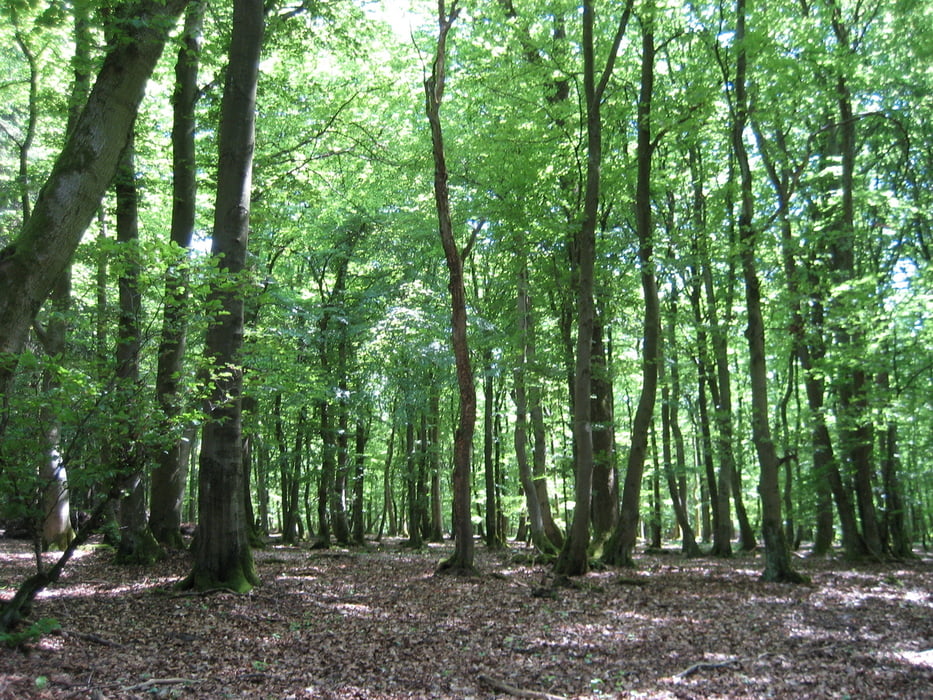 Trailpark // von Kelberg über Daun