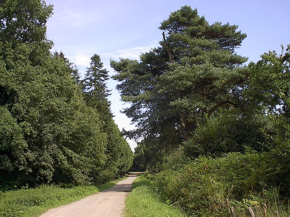 VTT-route Rieux