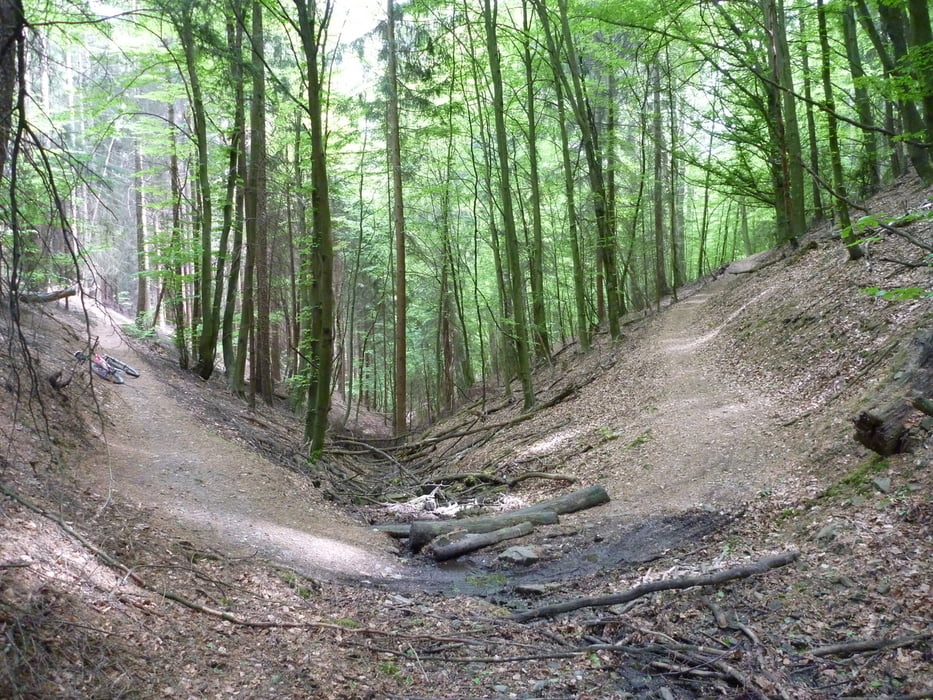 Neheim-Sorpe-Wilde Wiese