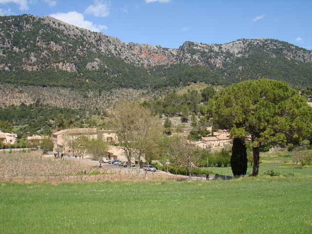 Tag4 Bunyola, Coll de Honor, Orient, Coll de sa Bataia