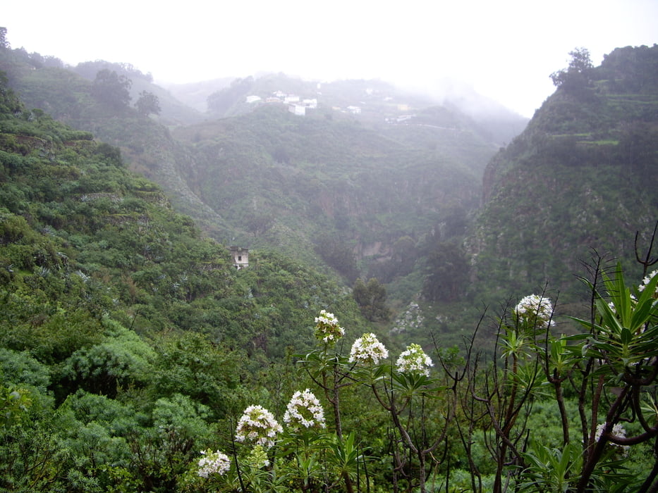 Barranco Guadalupe