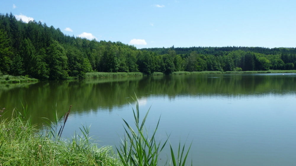 Schwaben: Westliche Wälder 06 (Trail-Rundkurs)