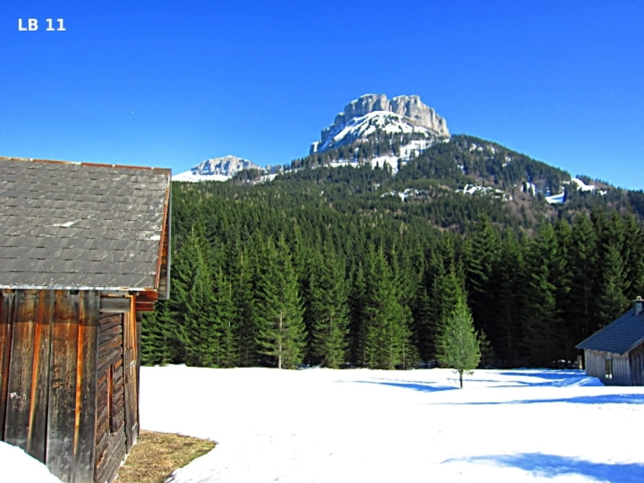 Altaussee Winterwandern