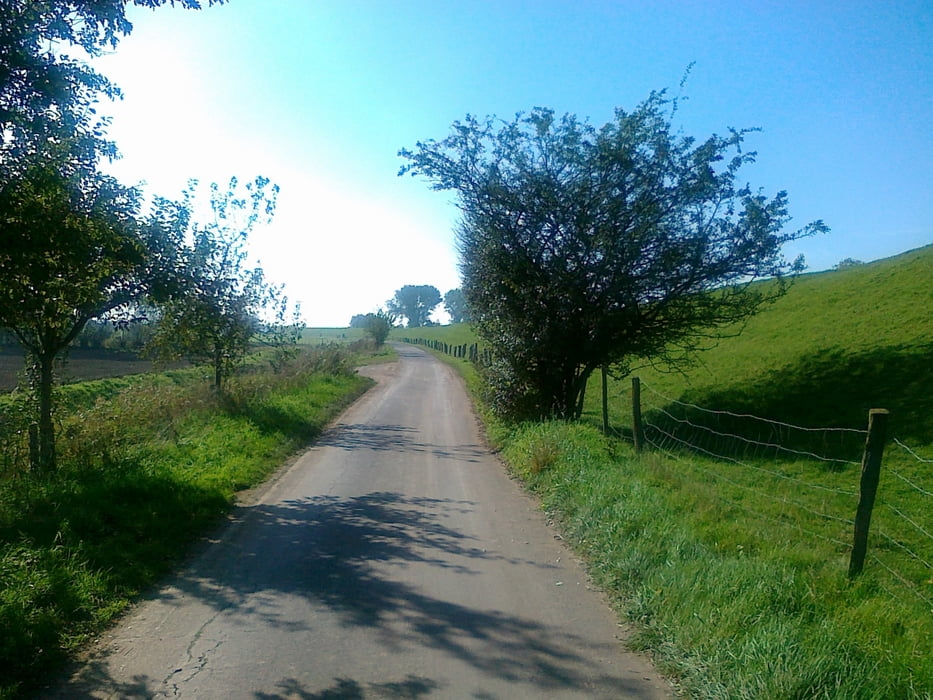 Seestermüher Marsch
