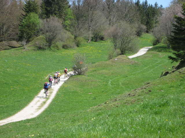 Senkele