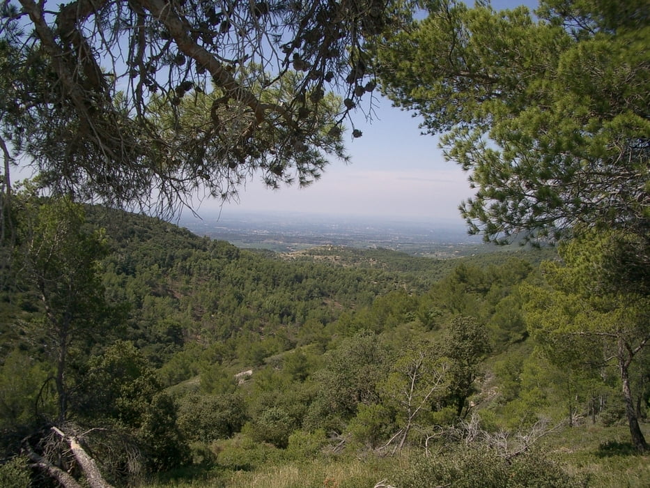 Villes-sur-Auzon Rundkurs