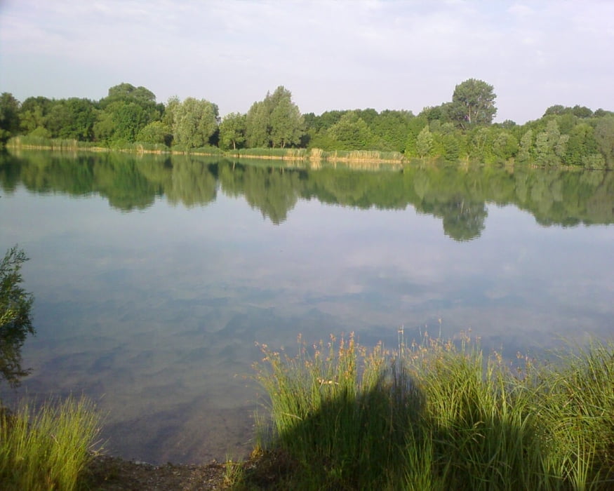 Göttinger Wald T8: Zum Baggersee