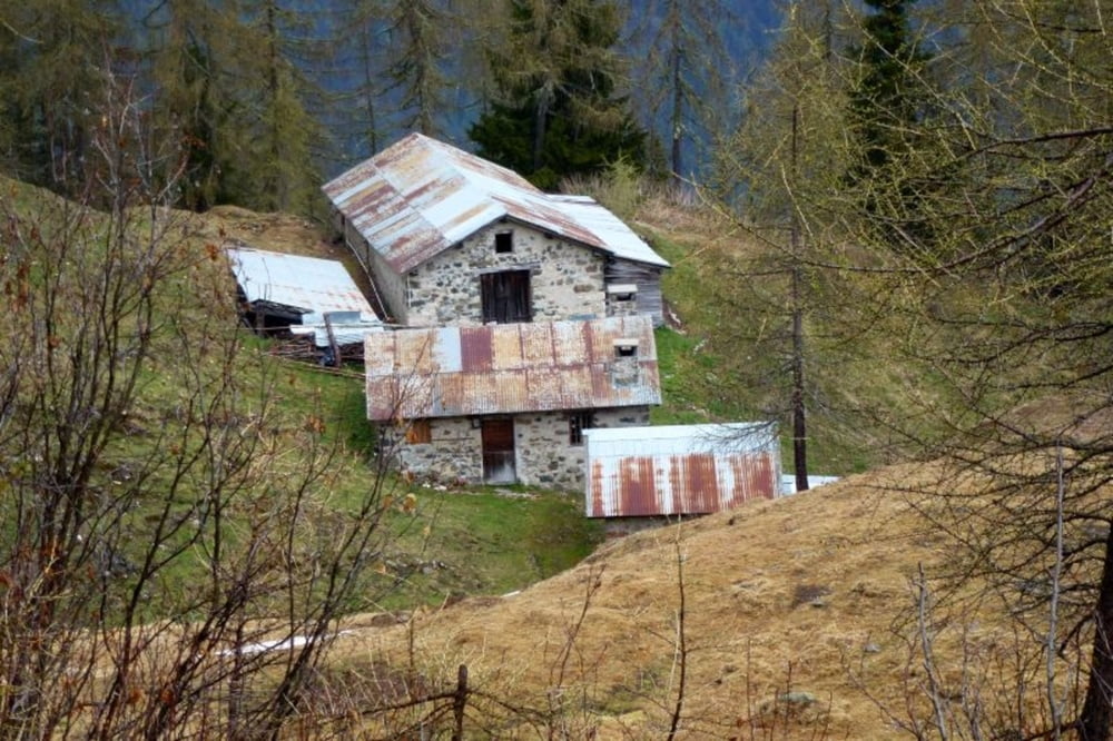 Malga Campedèl  (Dolomiti agordine)
