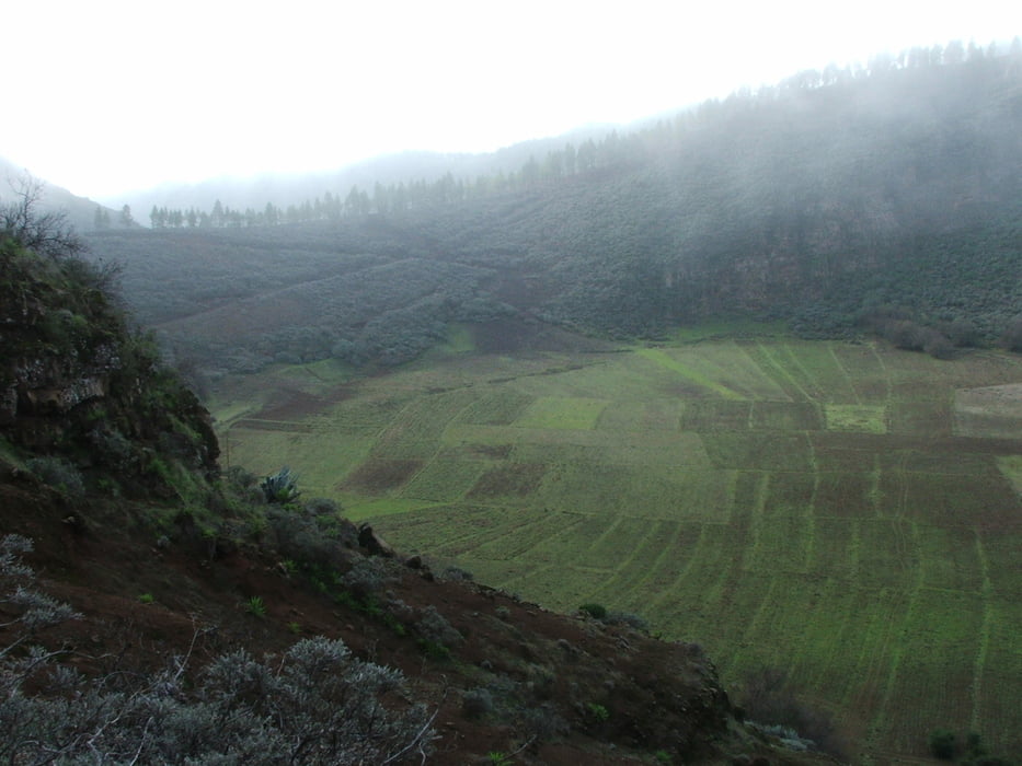 Gran Canaria: Pico de las Nieves