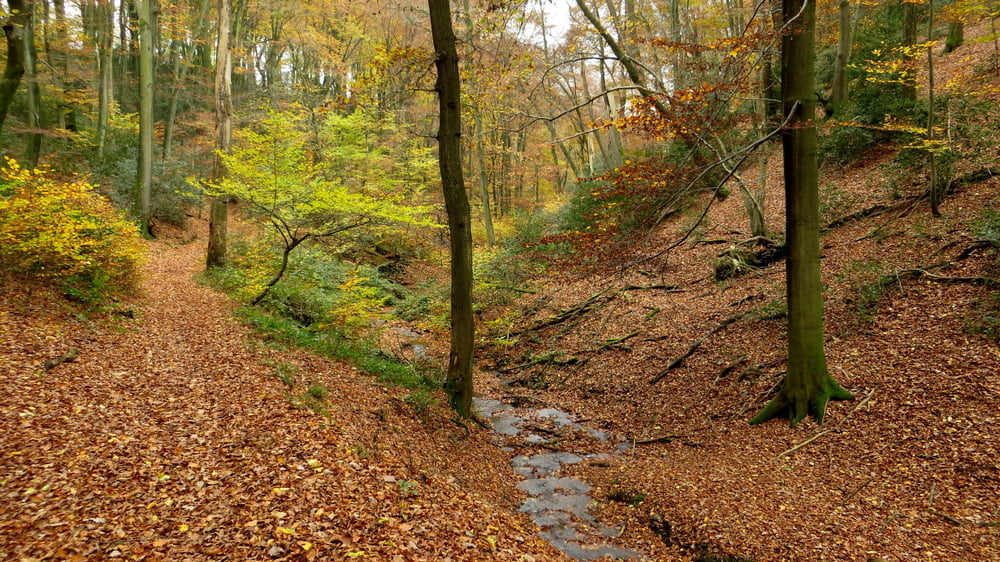Witzhelden Rundweg 1+2