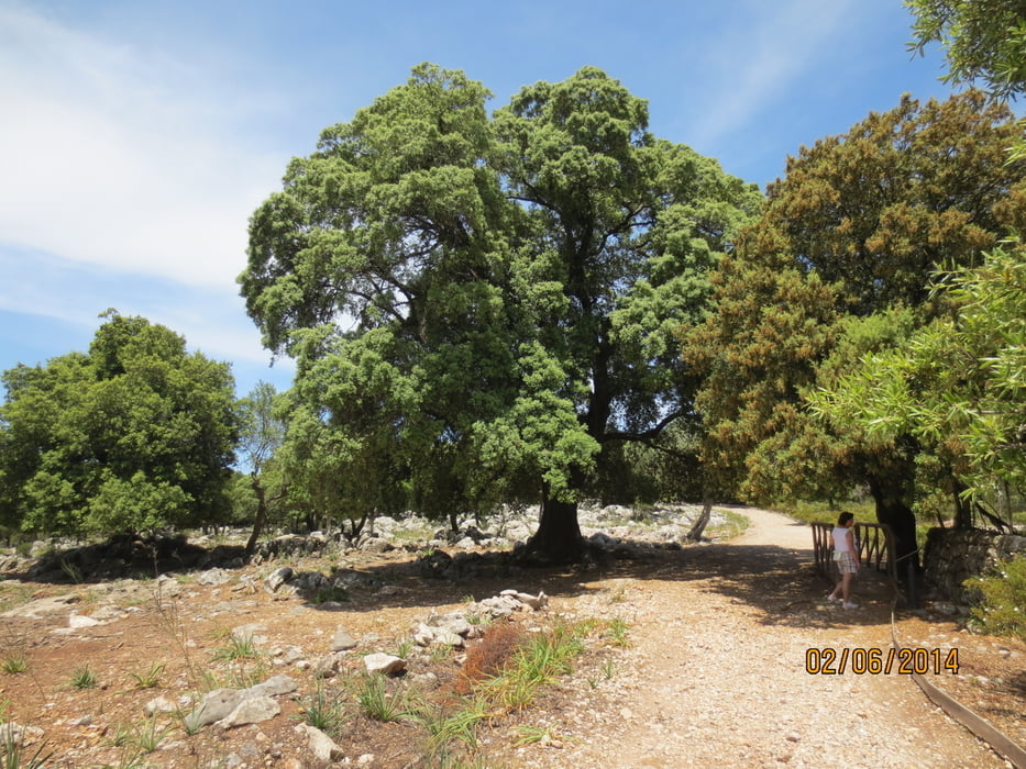große Runde um das Kloster Lluc (Mallorca)