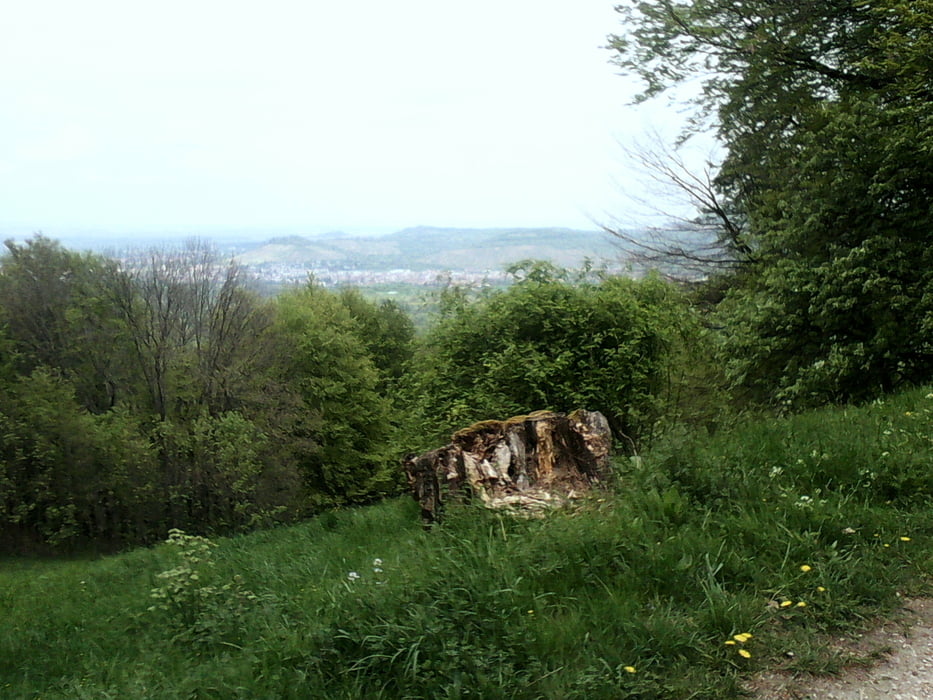 Durch den Wald zum Oberen Stausee