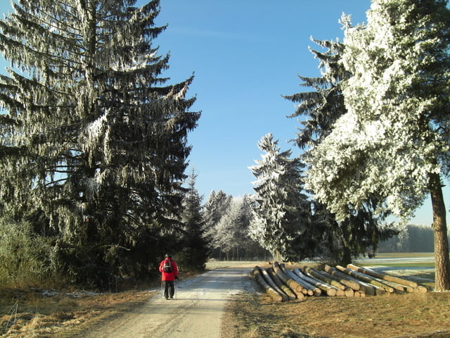 Altmühlpanoramaweg Schlaufe Nr. 19 (Greding-Kinding)