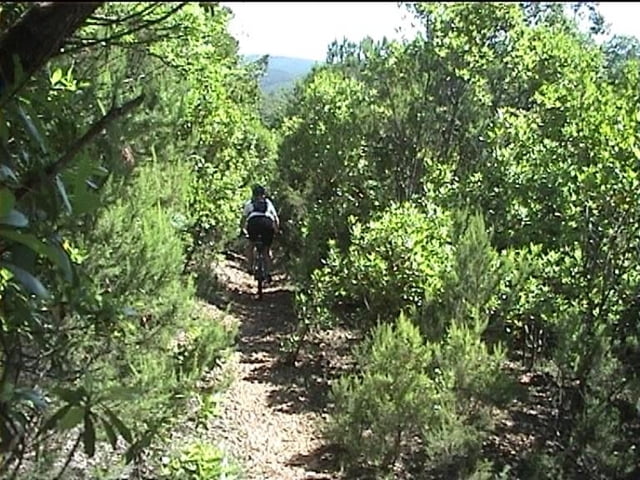 Single und Freeride Massa Marittima