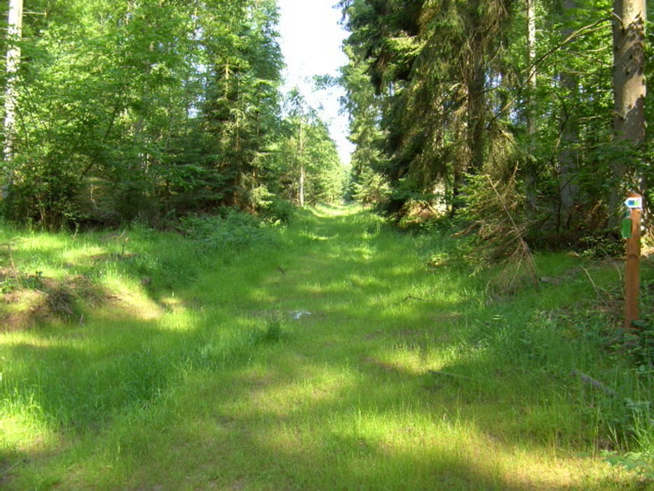 DVV-Wanderung in Reichweiler