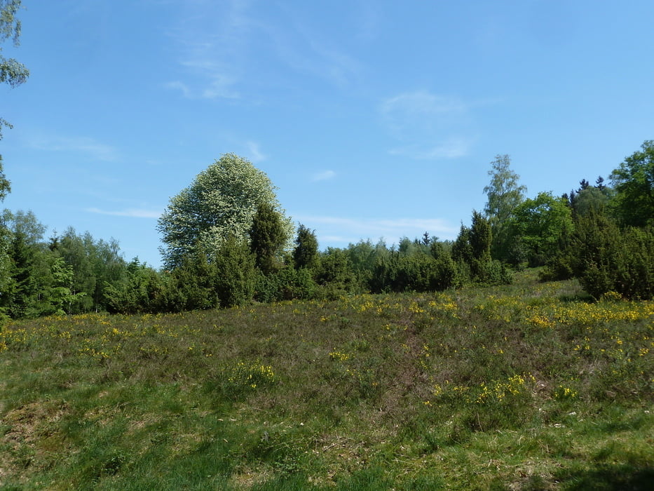 Ins Skigebiet bei Eckenhagen aus Rother Wanderführer -Bergisches Land- Nr. 44