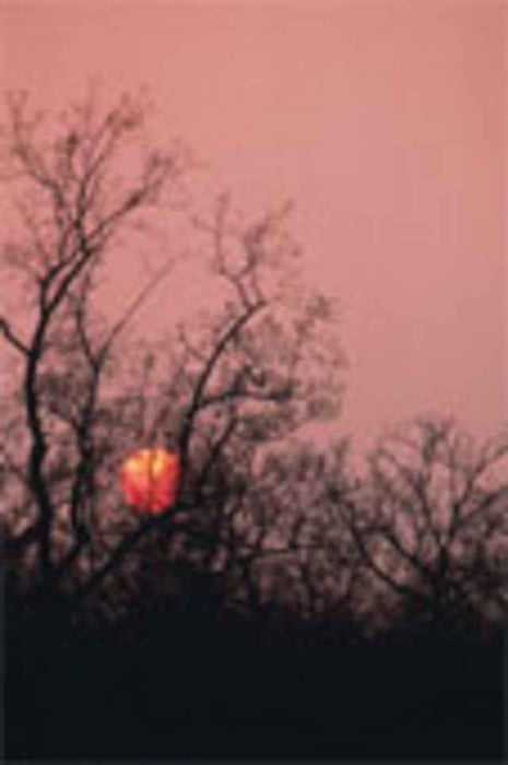 Sonnenuntergangstour im Alstertal