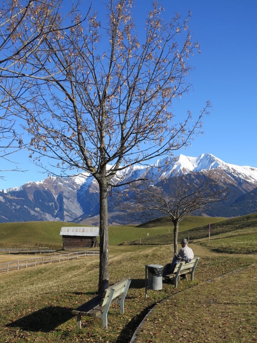 Davos Munts, Signina-Gruppe