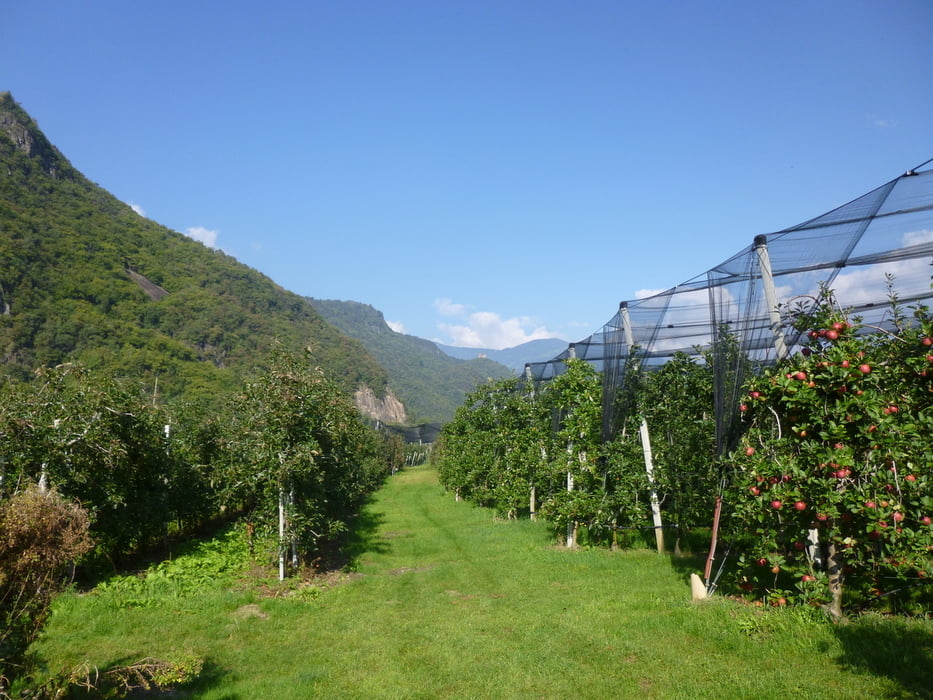 Apfeltour in Südtirol