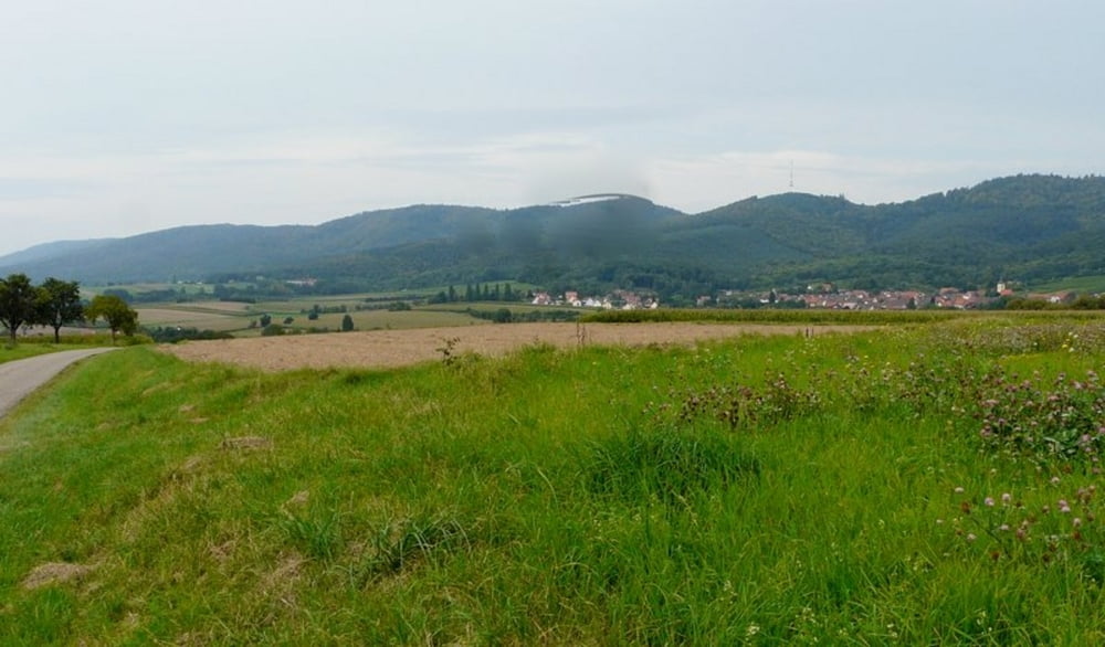 Dörrenbach - Wissembourg - Pfaffenschlick