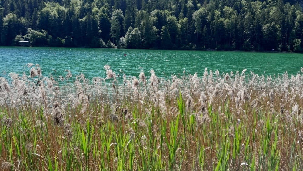 Rund um den Hintersteiner See
