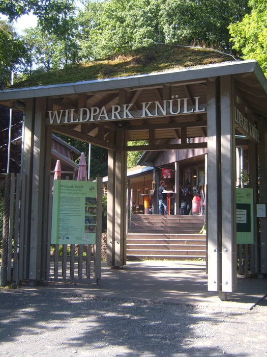 Silbersee - Wildpark Knüll