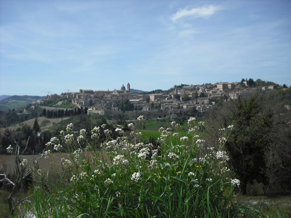 Urbino-Pieve di Cagna