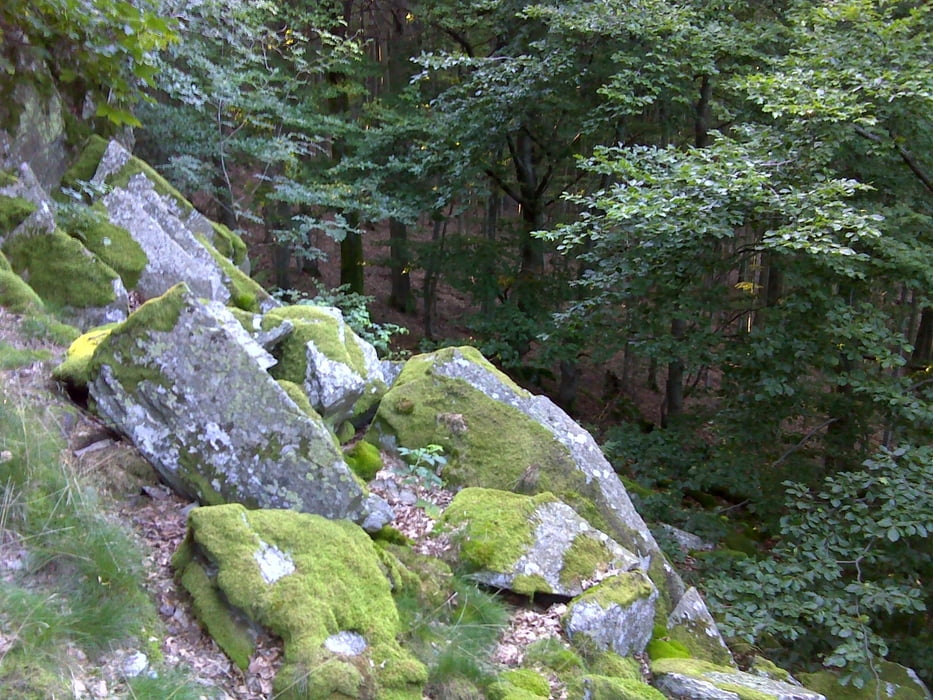 Freidaach.de-Tour_100820