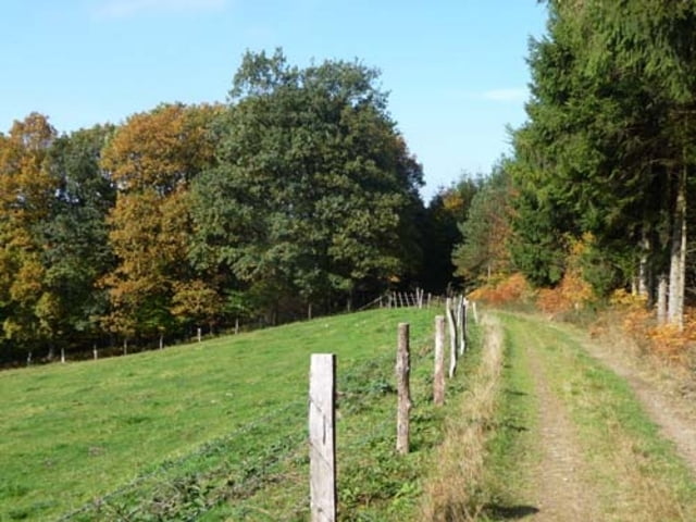 Hohkeppel / Frielinghausen