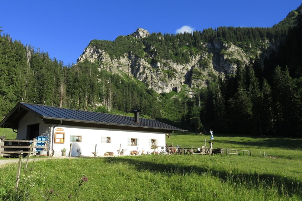 Schnappenkirche - Staudacher Alm - Brachtalm - Runde