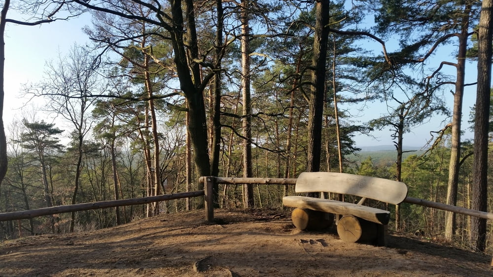 355. Die 1000 dm Berge (z.B. der Ravensberg) bei Potsdam - Waldstadt (Berlin) 