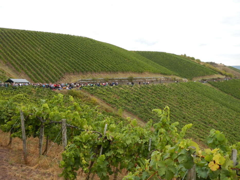 Weinwanderweg Mittlere Nahe (Bad Sobernheim - Martinstein) bis 2013