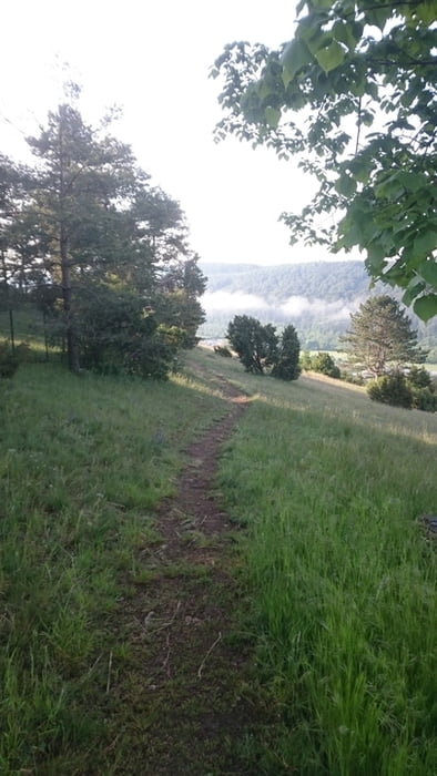 Riedenburg Trails